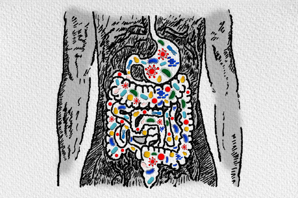 Stomach Conditions FAQ