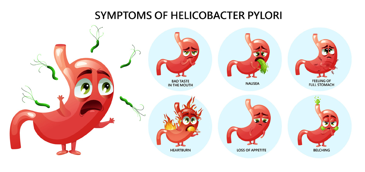 H. pylori